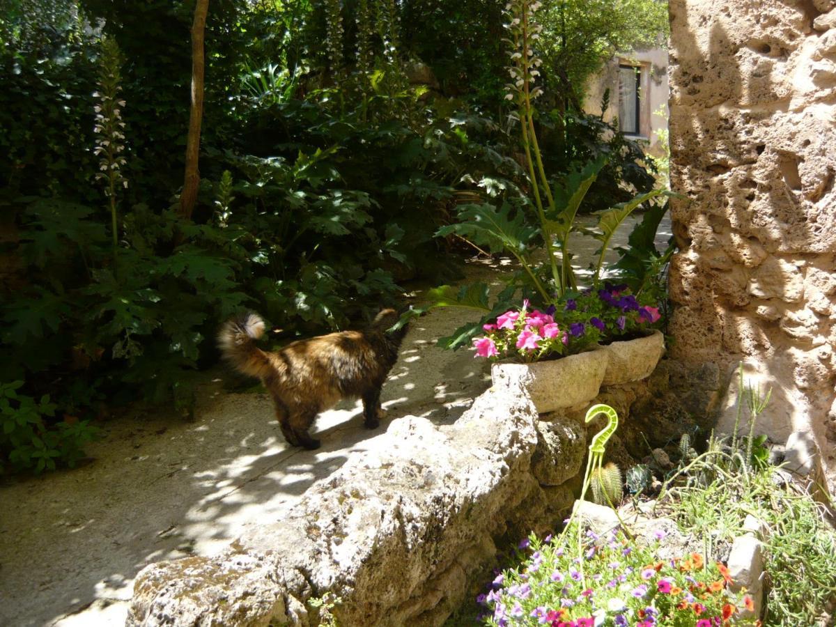Le Pra De Pe Bed & Breakfast Cotignac Bagian luar foto