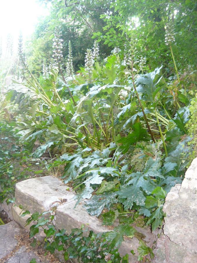 Le Pra De Pe Bed & Breakfast Cotignac Bagian luar foto
